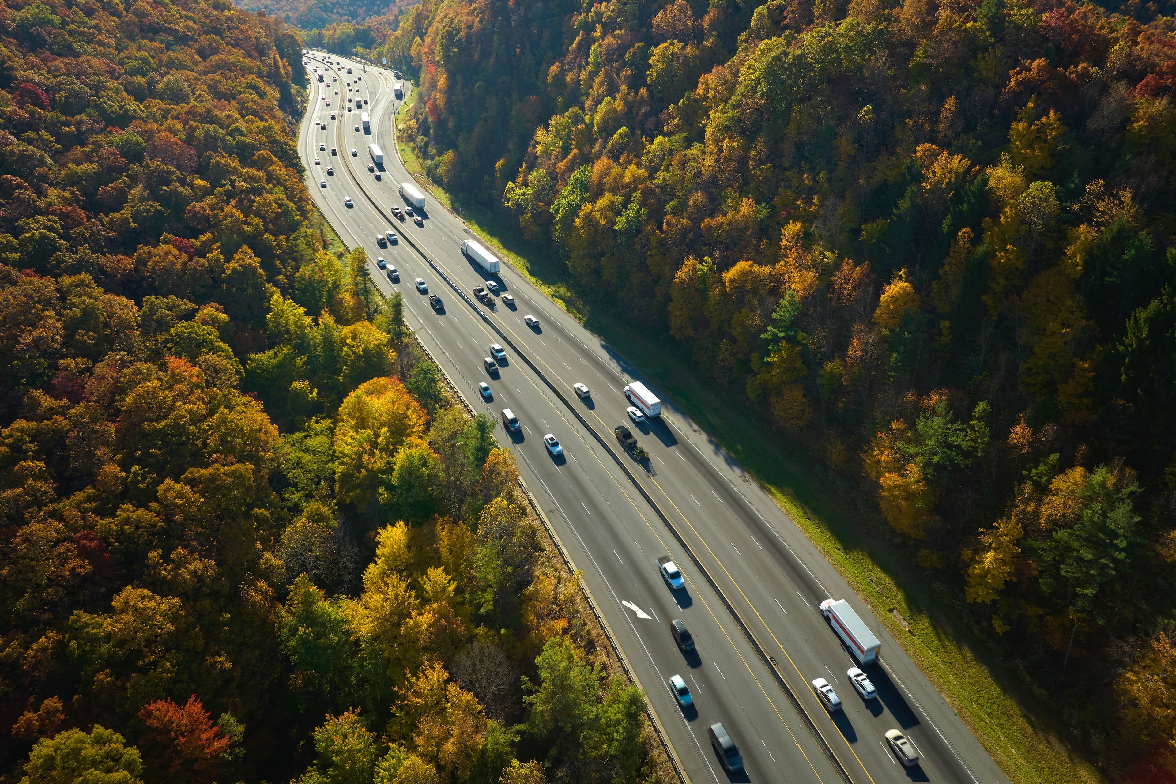 Building Resilience in Transportation Networks