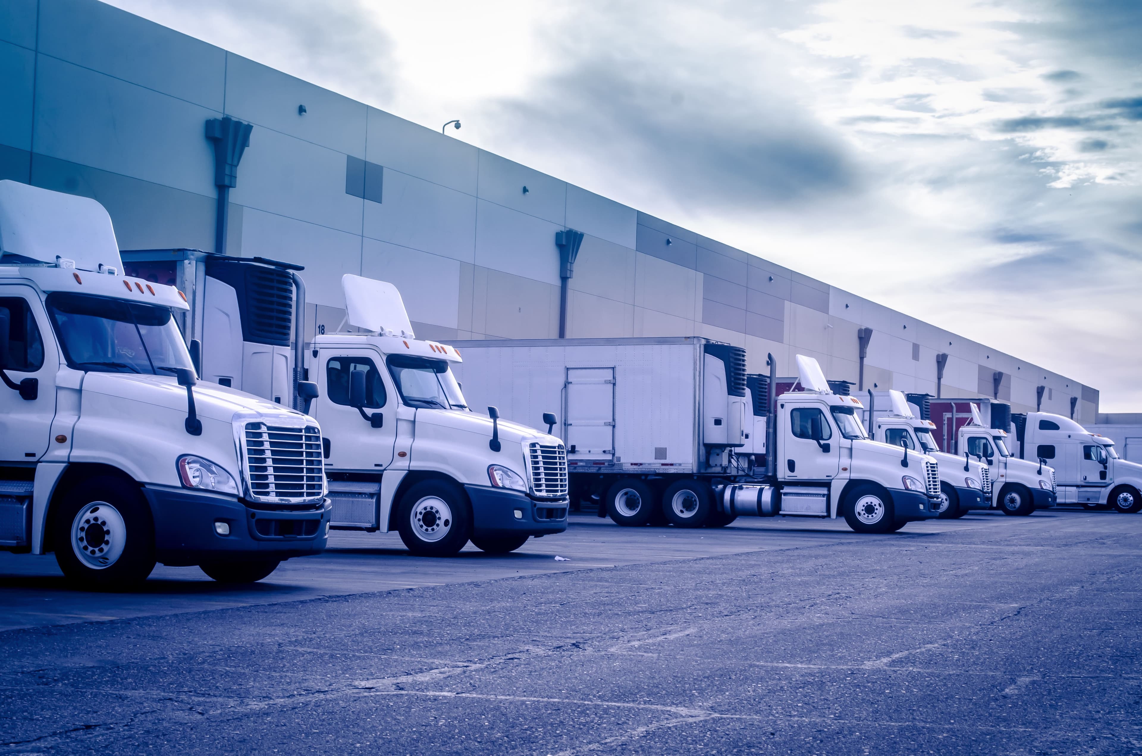 Several trucks parked in a warehouse port