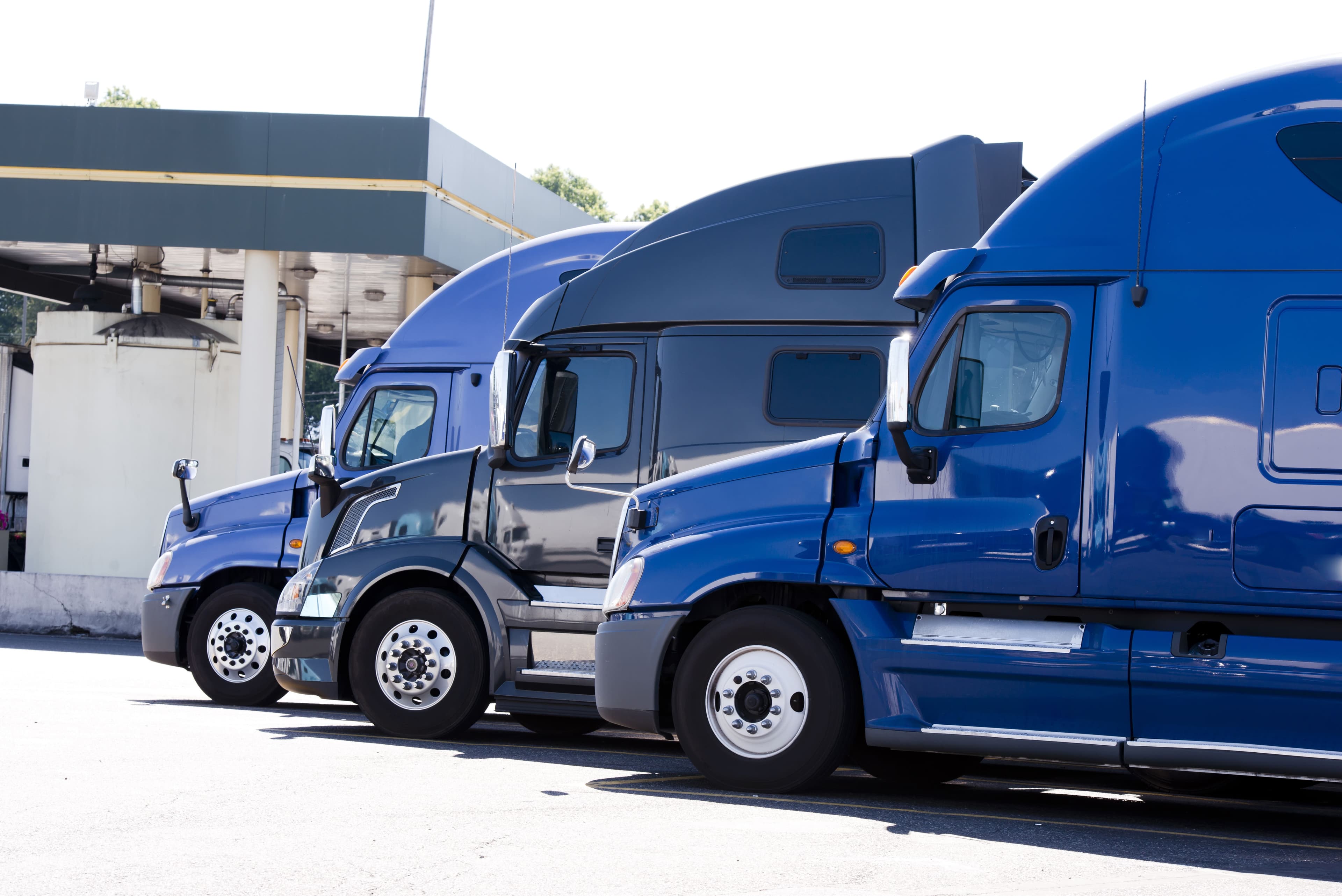 The CPO's Guide to Sustainable Freight: 5 Strategies for Success